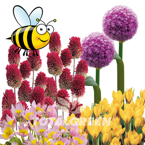 Pollinator Garden Spring Flowering