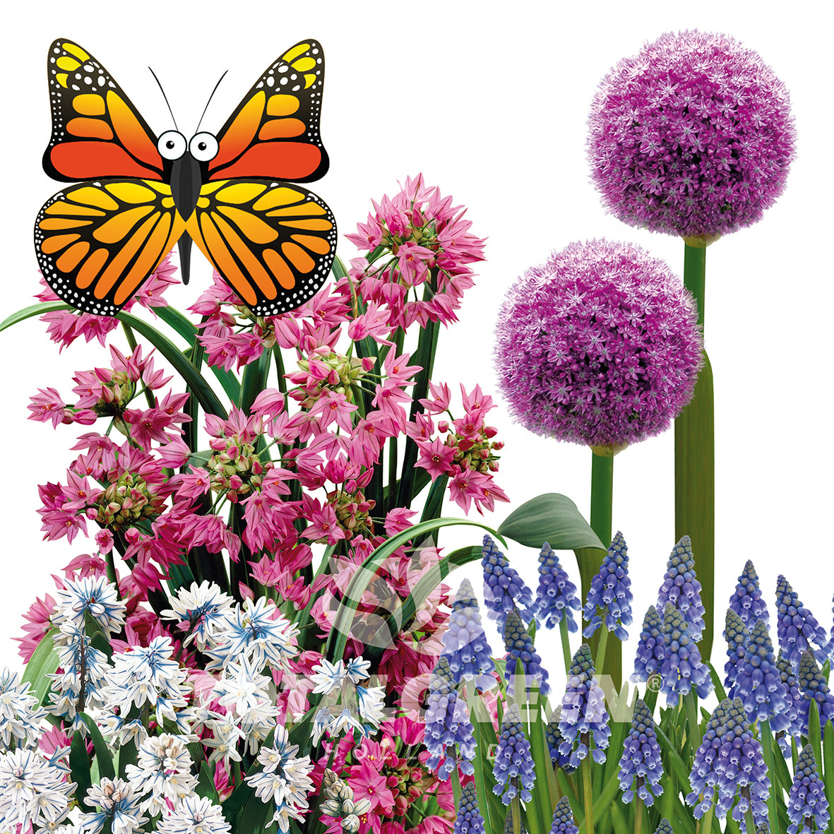 Pollinator Garden Spring Flowering