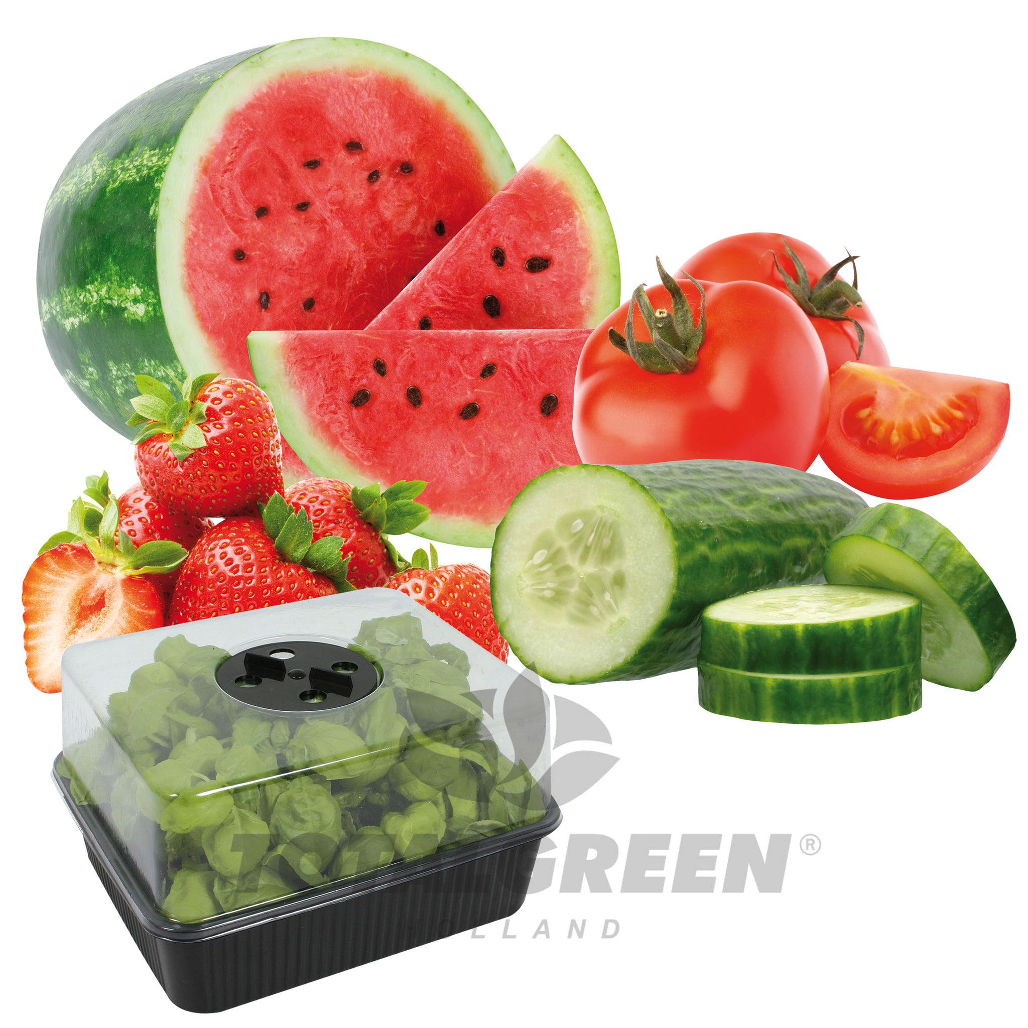 Mini Green House