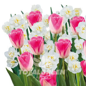 Color Your World Bulb Grow Kits