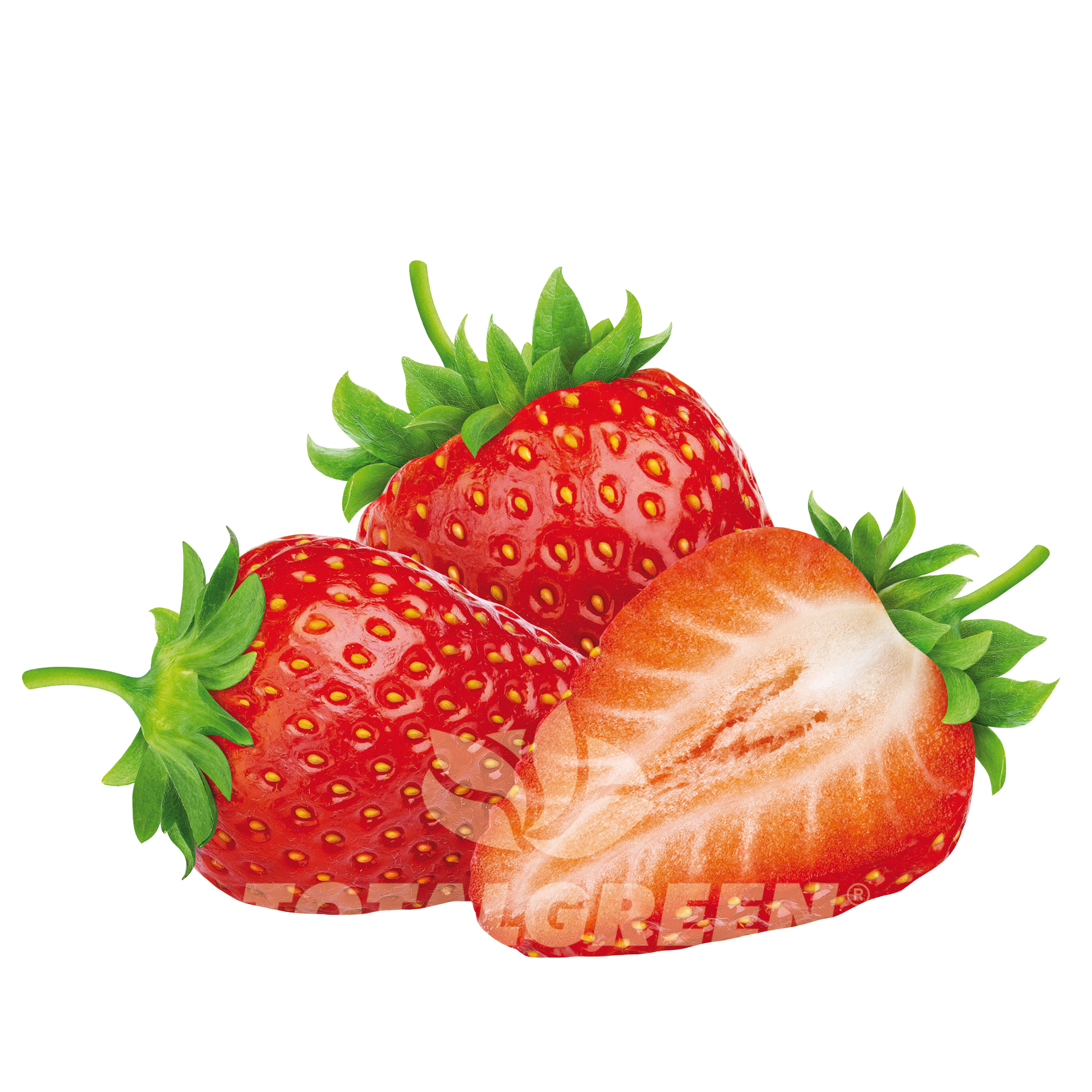 strawberryページ Pop Up Garden - Information - TotalGreen Holland