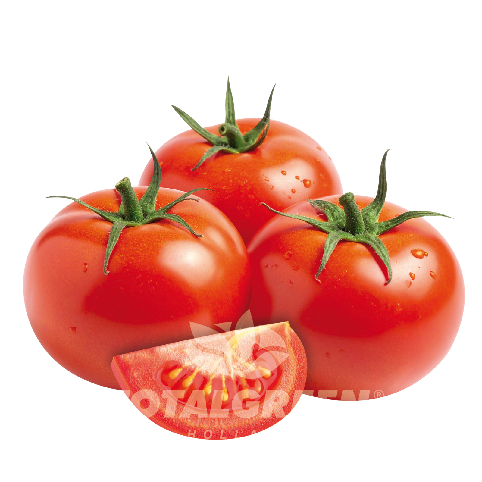 Pop Up Garden Tomato