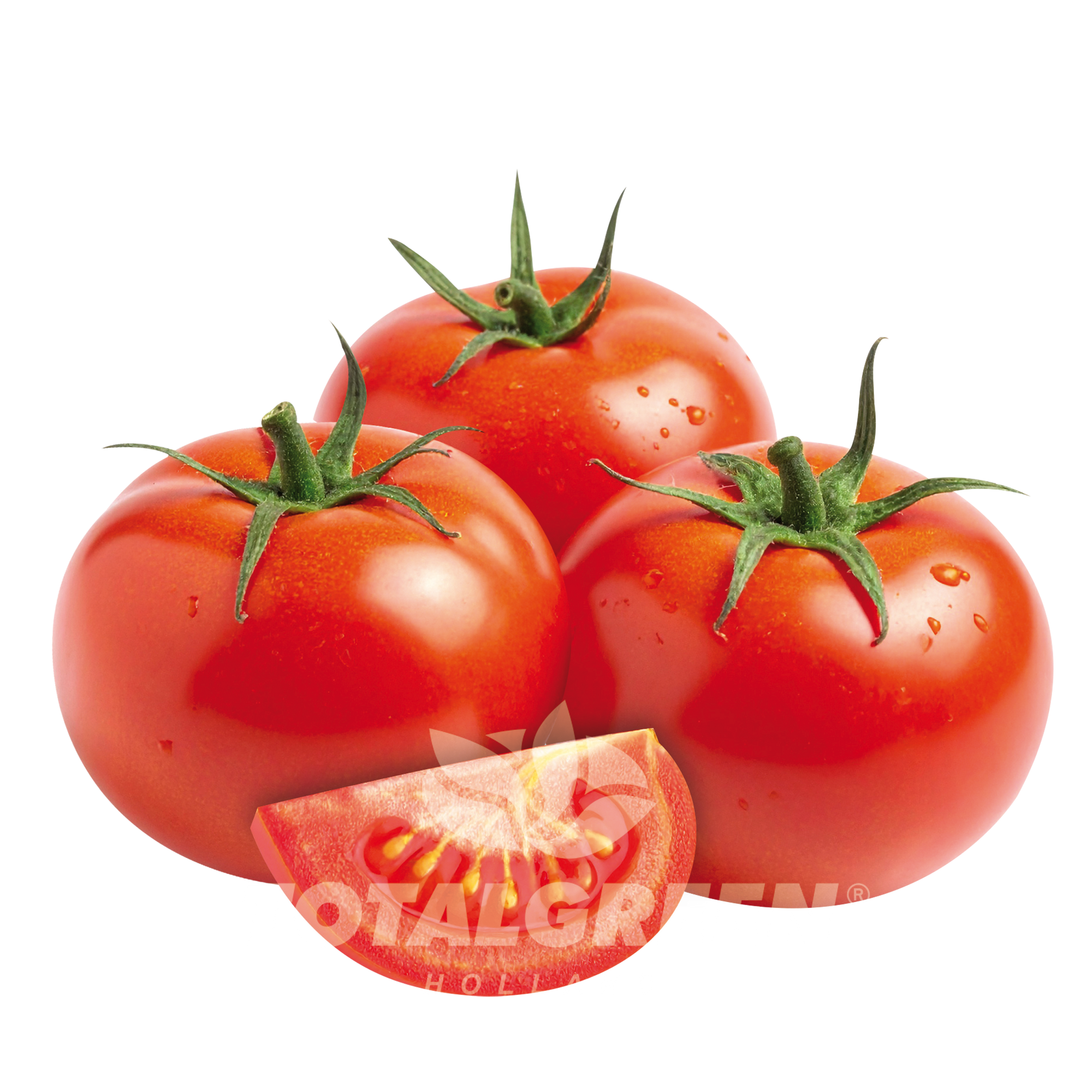 Pop Up Garden Tomato