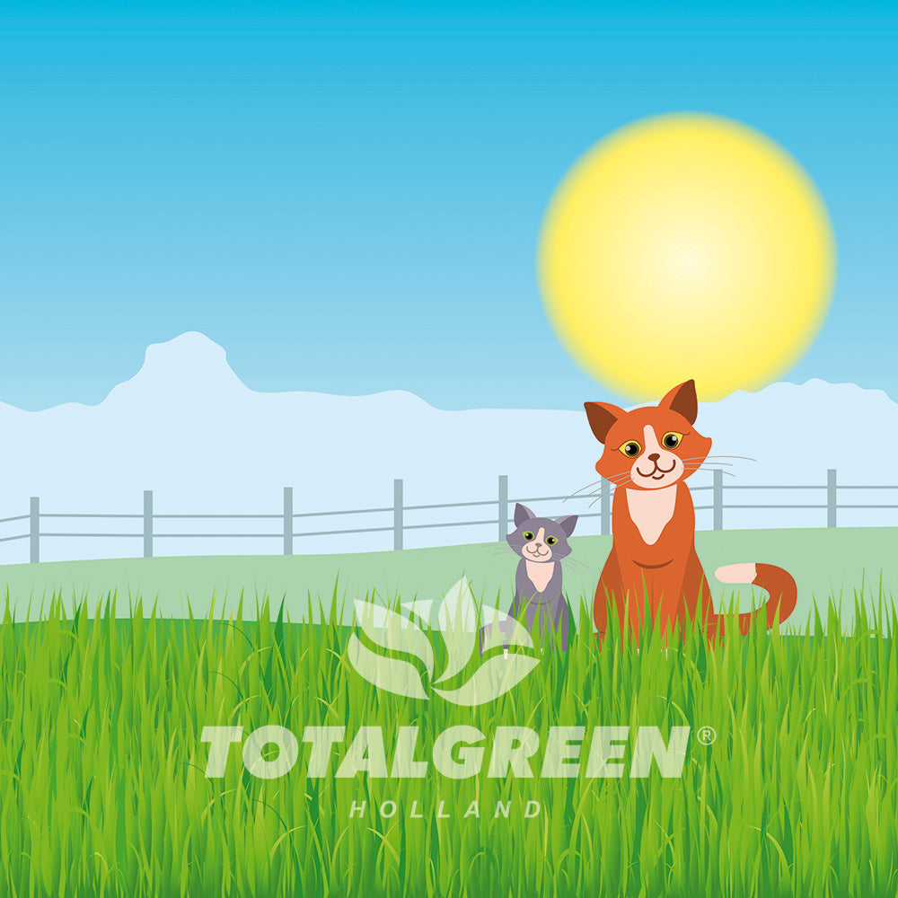 Mini Starter Garden Cat Grass