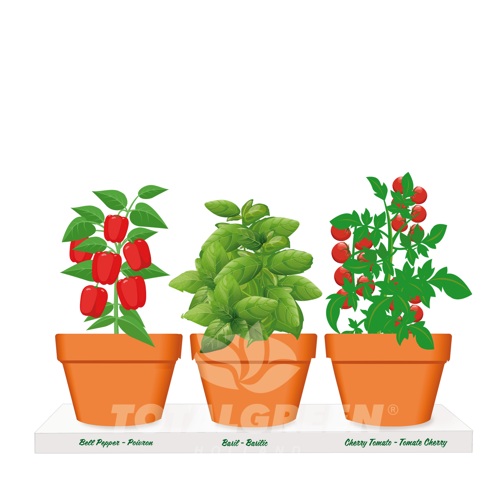 Kitchen Trio Grow Kit Bell Pepper - Basil - Mini Tomato