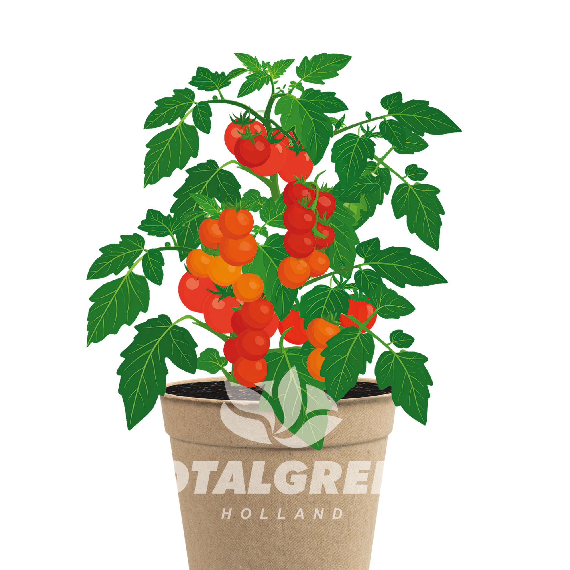 Biodegradable Grow Kit