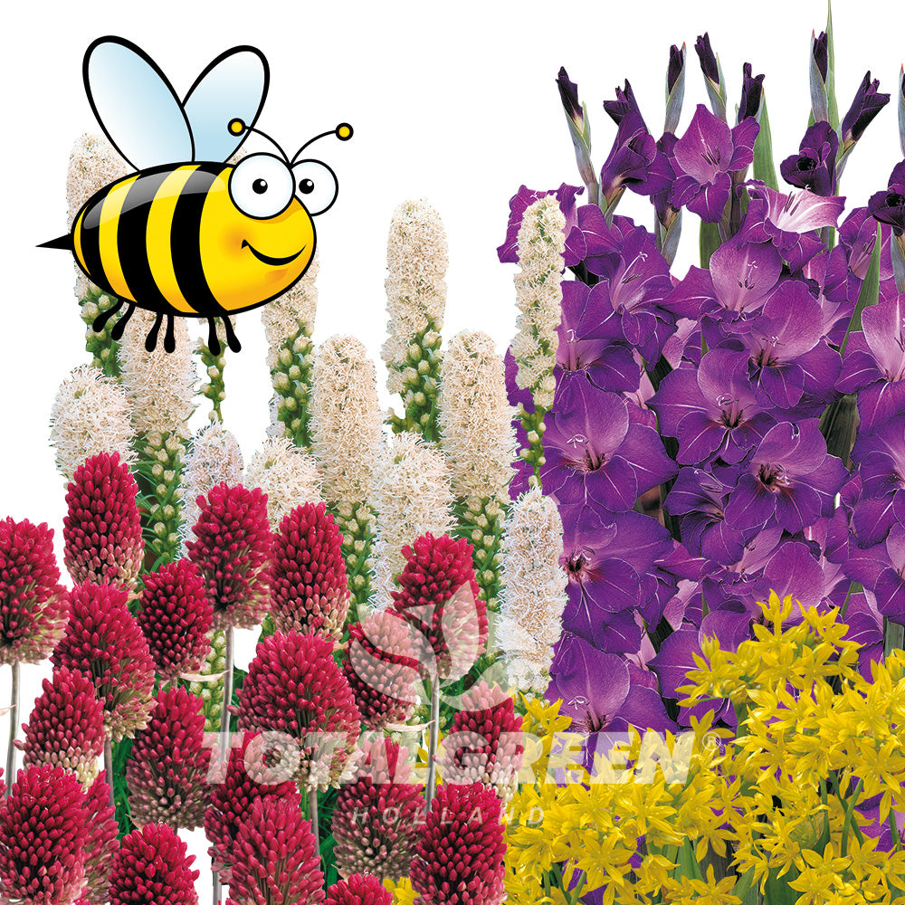 Spring Pollenators Pollinator Garden Spring Flowering - Planting Instructions - TotalGreen ...