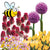 Pollinator Garden Spring Flowering