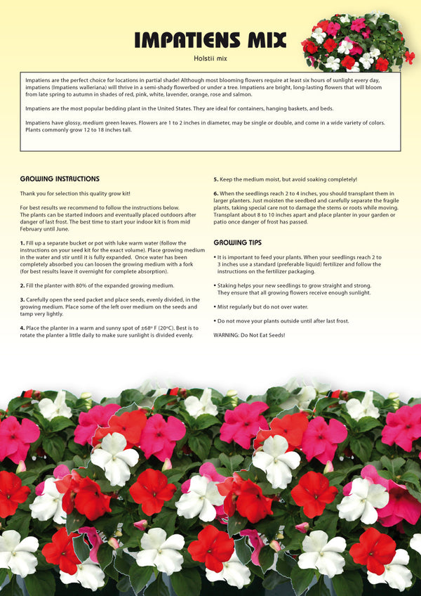 Seed Kits Flowers Instructions TotalGreen Holland
