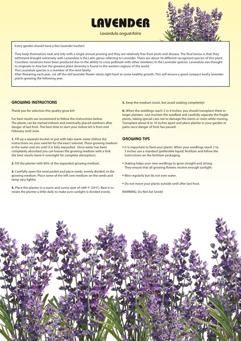 should you soak lavender seeds before planting Seed Kits Flowers - Instructions