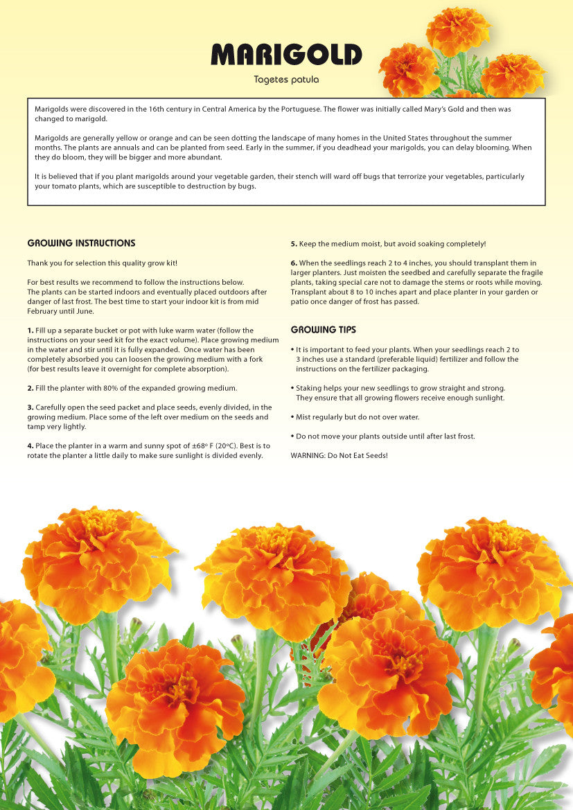 marigold seed planting instructions Seed Kits Flowers - Instructions