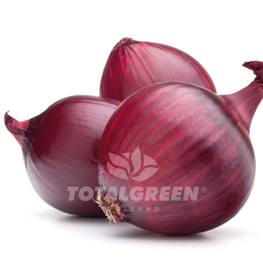 Red Onion