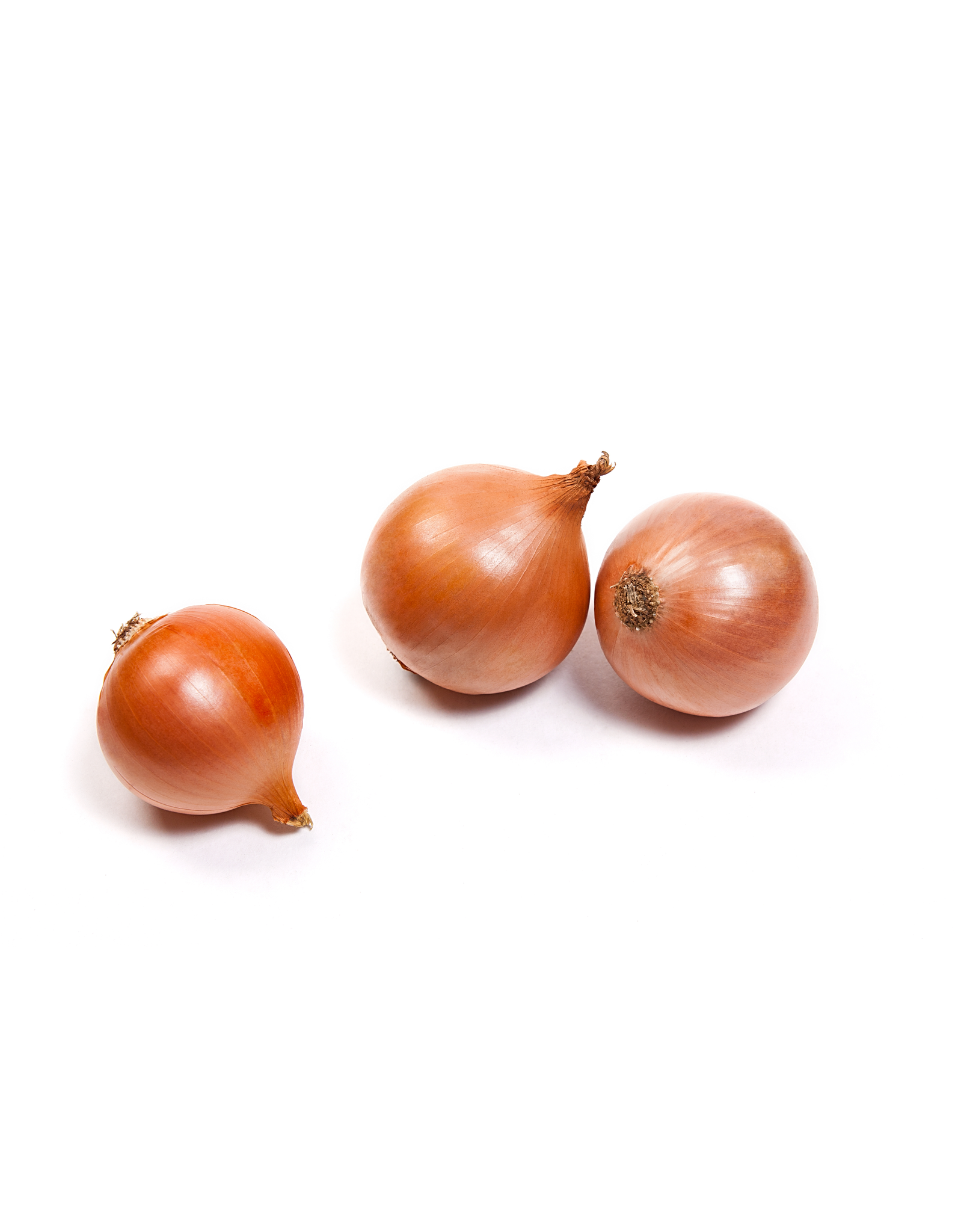 Dutch Onions (Hamburger Type)