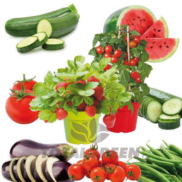 Seed Kits Vegetables - Information - TotalGreen Holland